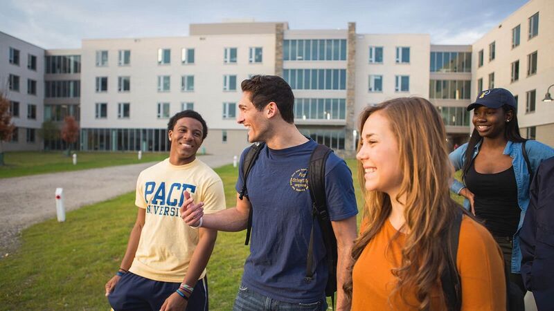 du hoc new york my