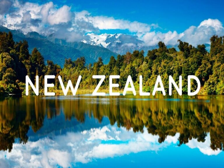 Du học New Zealand nên chọn ngành nào phù hợp?